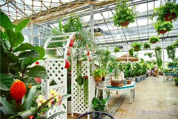 将位于高明区面积400多亩的花场建成集花卉研发培育种植销售观赏,花卉